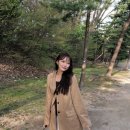 에이바헤어 강남신사점