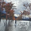 (주)보드보드 | 강원도 인제 소양호 패들보드 후기 가을 물결 위에서 즐긴 힐링 여행