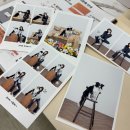 교감 | 정원 셀프 사진관 안양 범계점 강아지와 인생 사진 건진 솔직 후기🐶🩷