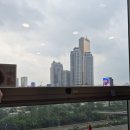 서울 3주차, 더위를 이기기 위해 회를 먹자 (?)