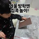 나 혼자 산다 즐거운 집콕 정리 | 겨울방학 집콕놀이 준비 완료! 핸즈코리아에서 아이 만들기재료 한번에 쇼핑한 후기