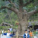 동막골목장 이미지