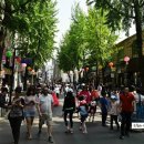 인사동 골동품거리 이미지