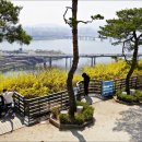 달맞이근린공원 이미지