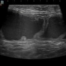 이음동물병원 이미지