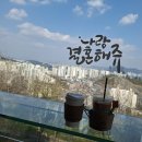 4/20(일)SeMA백남준기념관-＞백년된 우물집-＞채석장전망대 낙타 이미지