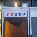 포천산정호수돌고래캠핑장관광농원 방문후기/동굴존,소나무존9/나만의꿀팁