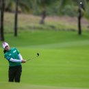 신화로(3-217) 이미지