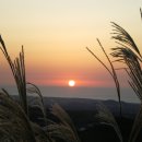 새별오름 이미지