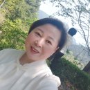 인셀덤다원