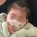 벌떡 수유점 | 6~7개월 발달상황 | 빨대컵 성공 후기 &amp; 자기주도식 주먹밥 먹방, 육아템 추천