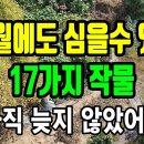 10월에도 심을수 있는 작물 17가지 이미지