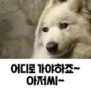 현네일샵 - 사천시 주공로 60 | 현네일샵
