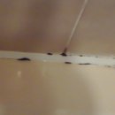 모텔자니 이미지