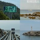 일일일반점 이미지