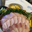 상무어시장 | 광주 상무지구 횟집 방어 맛집 상무어시장 방어회 후기