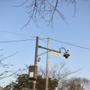 주정차단속-133 이미지