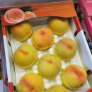 백천지구3 이미지