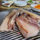 다온돼지 이미지