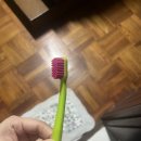 샘솟는 작은도서관 | 여자 혼자 서울 시청 스케이트장 간 후기 (꿀팁 포함) + 롯데월드 아이스링크장이랑 비교