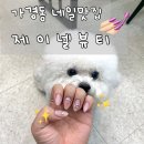 제이넬네일