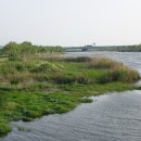 모란생태공원 이미지