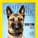내셔널지오그래픽 - 통영시 중앙로 326 | 내셔널지오그래픽