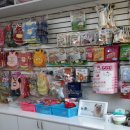 멍바라기 이미지