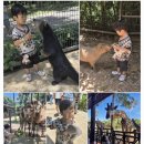 중부-현장-중부-974 | [푸꾸옥 5살 아이와] 8월 우기- 여행 총 비용 및 5박 6일 일정표