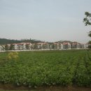 창구농장 이미지