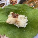 풍암생태야생태 이미지