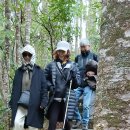 카우리 클럽 처녀산행코스 Alice Eaves Scenic Reserve &amp; Kensington Park 이미지