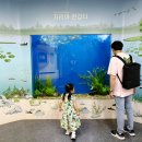 부천자연생태공원(식물원,박물관) | 부천 아이랑 가볼만한곳: 부천자연생태공원(식물원&amp;생태박물관&amp;무릉도원수목원)