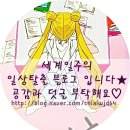 츄츄트레인 블로그 마켓 구매 후기♡