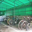 개나리공인중개사사무소 이미지