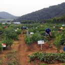 팔현농장 이미지