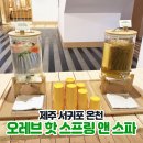 제주마그마 여성전용찜질방 | 제주 서귀포 오레브 핫 스프링 앤 스파 찜질방/수영장/온천 솔직 후기