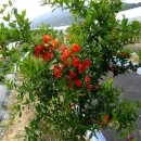 오색슈퍼 이미지