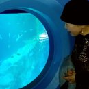 쿠아몰