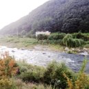 영동반디펜션 이미지