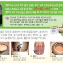야채이야기