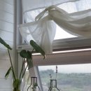 스테이앤2 이미지