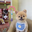 살롱드베베 이미지