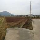 신지면-5 이미지