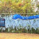 파주시티투어 관광특구(목요일) 이미지