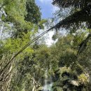 세부여행~ 호갱이 되지 말자!! 가성비 여행!!