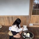 멍멍데잇 | 강원도 강릉여행 애견동반가능한 주문진 카페 강냉이소쿠리 방문후기