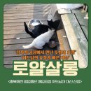 충북 부분정비 | 충북제천 영업중단 매입요청, 아드님이 부모님 대신