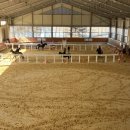 대전승마장 이미지
