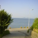 춘자민박 이미지